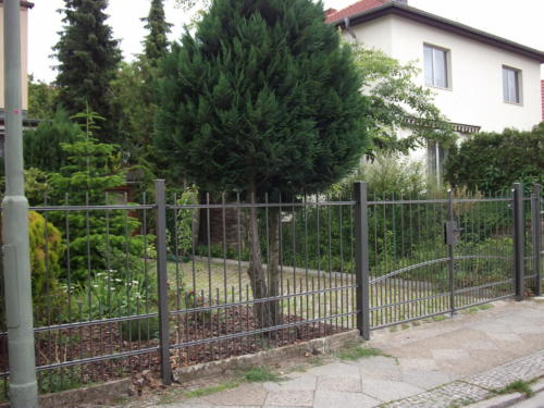 DSCF5412