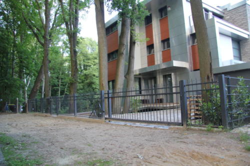 Obraz 329